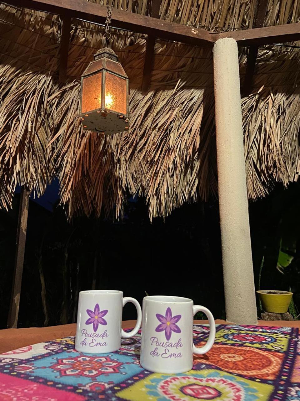 Pousada Canela De Ema Mateiros Kültér fotó
